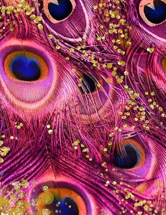 Usha Modi obituary, Highland Park, Highland Park