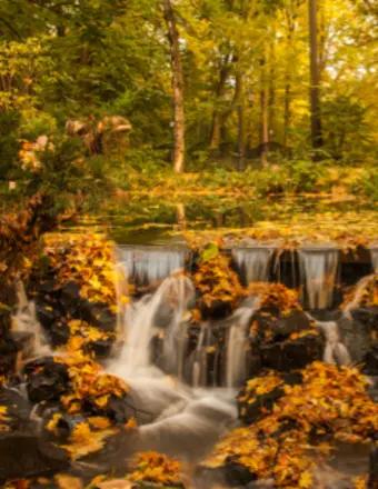 Babette Doolittle obituary, Chicago, Chicago