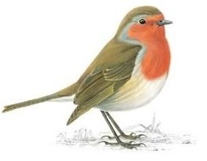 Arthur Jewer obituary, , Portsmouth