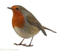 Margaret MURRAY obituary, , Fife