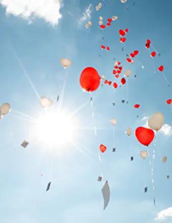 Albert S. Feinberg obituary, Naples, Naples