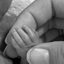 Charlotte Belle Ohle obituary, North Olmsted, North Olmsted