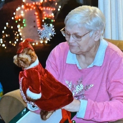 Dana Lyn Seifert obituary, Gaithersburg, Wichita, Washington, Wichita