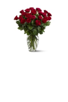 Virginia Bluitt obituary, Chicago