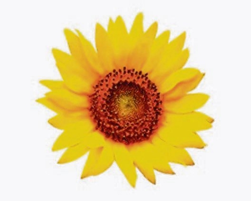 John Gray obituary, , South Shields