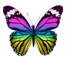 Annie Fletcher obituary, , Sheffield