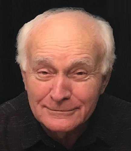 Carmen A. DeNardis obituary, Joliet, San Vito, Joliet, Joliet