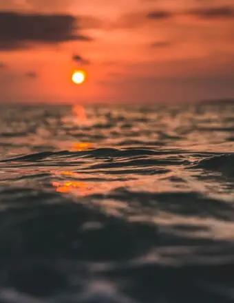 Gloria Miller obituary, Chicago