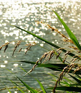 Gerardo Blanco obituary, Pompano Beach