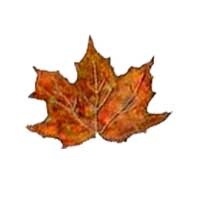 Richard Eugene Beene obituary, Georgetown, Georgetown