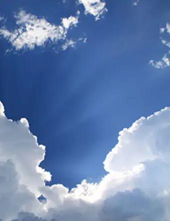 Tomas Jaramillo obituary, , New Port Richey, St. Petersburg