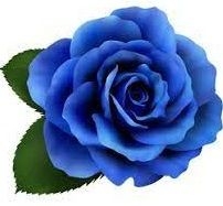 John SCOTT obituary, , Fife