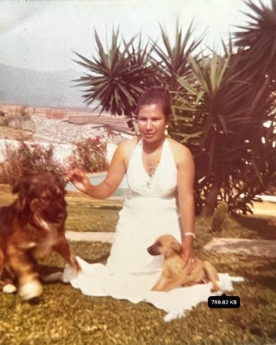 Lucina Hernandez obituary, Schiller Park, Cuernavaca, Schiller Park