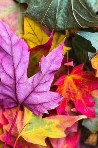 Luetta Kathleen Hubble obituary, Redding, Redding