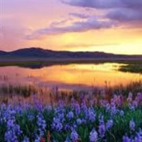 Kathi Liebe obituary, Milledgeville, Milledgeville