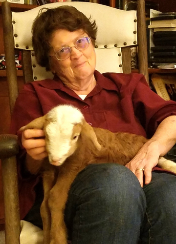 Louise Harlan Umbarger obituary, , Churchville, Baltimore, Blacksburg, College Park, Towson, Bel Air