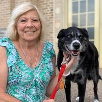 Patricia R. Johnson (nee Mitchell) obituary, Ballwin, Ballwin