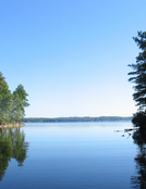 Michael James Murray