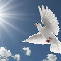 Anthony Mendez obituary, Montebello, Montebello