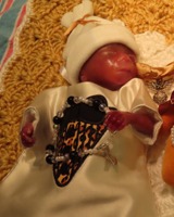 Shiloh John Gray obituary, New Iberia, New Iberia