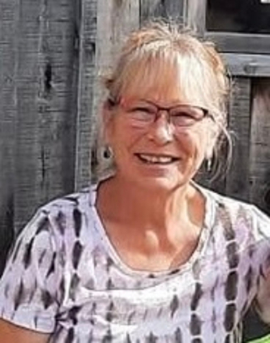 Susan M. Briese (Bruecks) obituary, Crest Hill, Joliet, Joliet