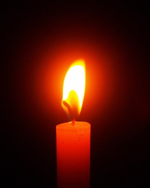 Yahir Viveros Alarcon