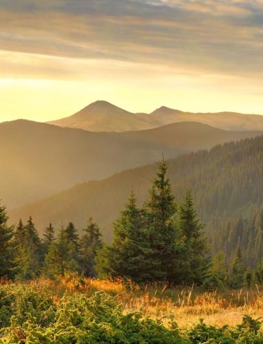 Levi Shobe obituary, Sedalia, Sedalia