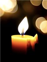 Richard (Dick) Millard Troxel obituary, Evans, Augusta, Augusta