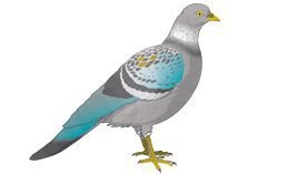 George Goodwin obituary, , Wolverhampton