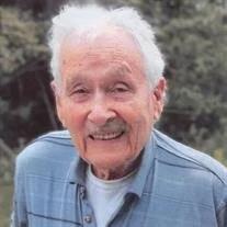 Roger Wilson Hamel obituary, Pickford