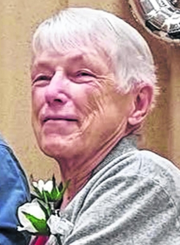 Nancy Zeigler obituary, , Troy, Troy, Troy