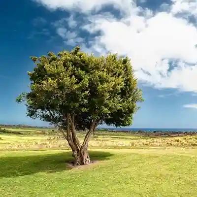 Rance Fredrick Smith obituary, Bixby, Bixby