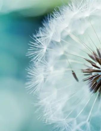 Randy Wayne Shiery obituary, Houston, Houston