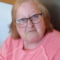 Julie L. Brummett obituary, Oswego, Oswego