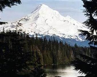 Ginger Brown obituary, The Dalles, Hood River