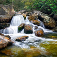 Terry Summers obituary, Wellston, Springfield, Afton