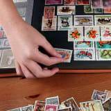 Anita Wiswell obituary, Pembroke, Pembroke, Concord