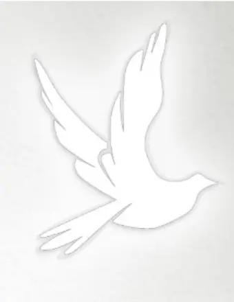 Patricia Ann Fogleman obituary, Naples, Naples