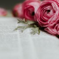 Margaret Broughton obituary, Fredericksburg, Fredericksburg