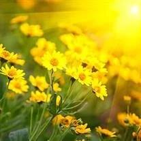 Brenda Sacxton White obituary, , South Roxana, Alton, Alton, Jacksonville