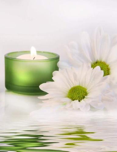 David Scaccia obituary, Schenectady, Saratoga Springs