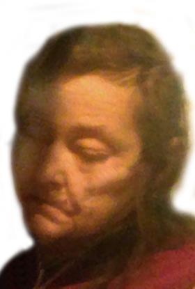 Debra A. Fletcher obituary, Terre Haute, Ind., Rochester