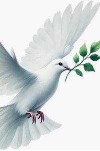 Lena Ruth Davis Richardson obituary, Durham, Durham