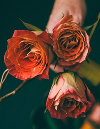 William Sandlin obituary, Colma