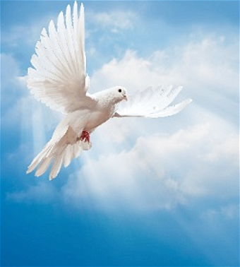 John R. Courter obituary, Vineland