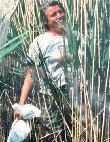 Jennifer Hillhouse (Griswold) obituary, Old Lyme, New London, Northampton