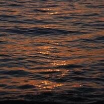 Jeffrey Elliott Hogge obituary, Gloucester Point, Gloucester Point