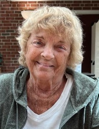 Carole Lee Gillies (Mayle) obituary, , Williamsville, Buffalo