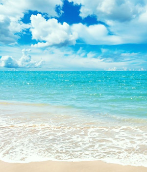 Peggy A. Courter obituary, , Holiday, St. Petersburg