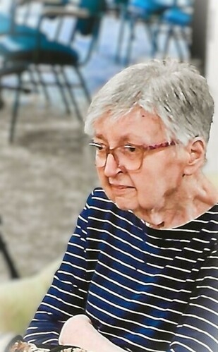 Nancy Jane Pinnow obituary, Newark, Crystal Lake